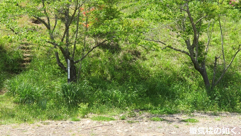 「ゆるキャン△S2」舞台探訪16 一人のキャンプ その3/3 なでしこ野田健康緑地公園キャンプ場(第8話)_e0304702_19482408.jpg