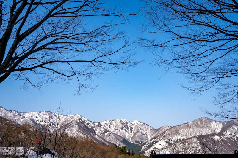 ピーク踏まず　残雪の巻機山_b0244811_23542863.jpg