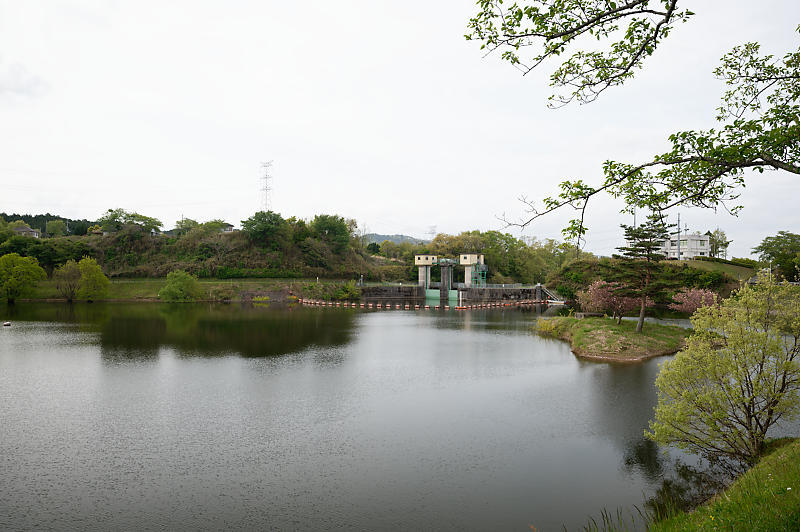 滋賀県日野遠征・其の一 日野川ダム_f0032011_18271228.jpg