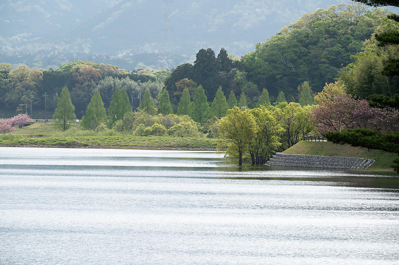 滋賀県日野遠征・其の一 日野川ダム_f0032011_18271285.jpg