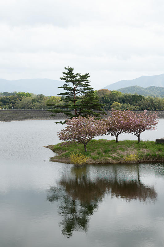 滋賀県日野遠征・其の一 日野川ダム_f0032011_18271370.jpg