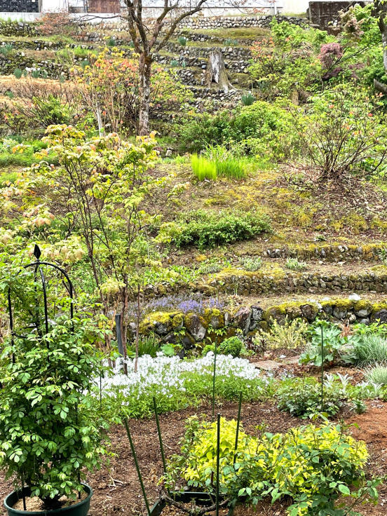 雨が降りだした日曜日_f0067514_20492815.jpg