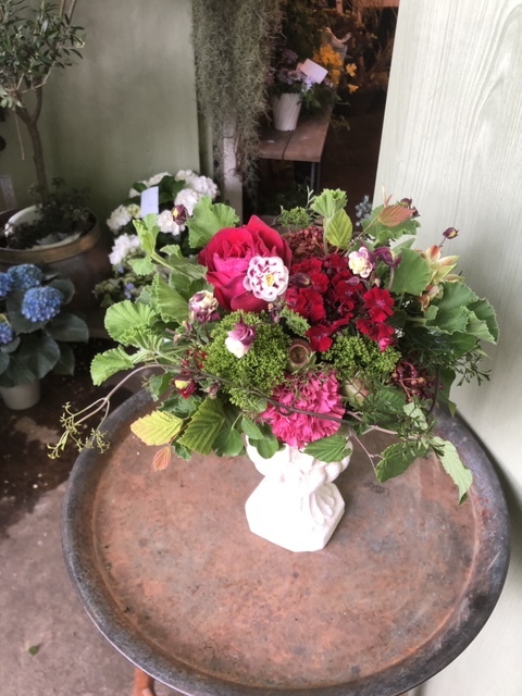 母の日ギフト2_c0102228_17560149.jpeg
