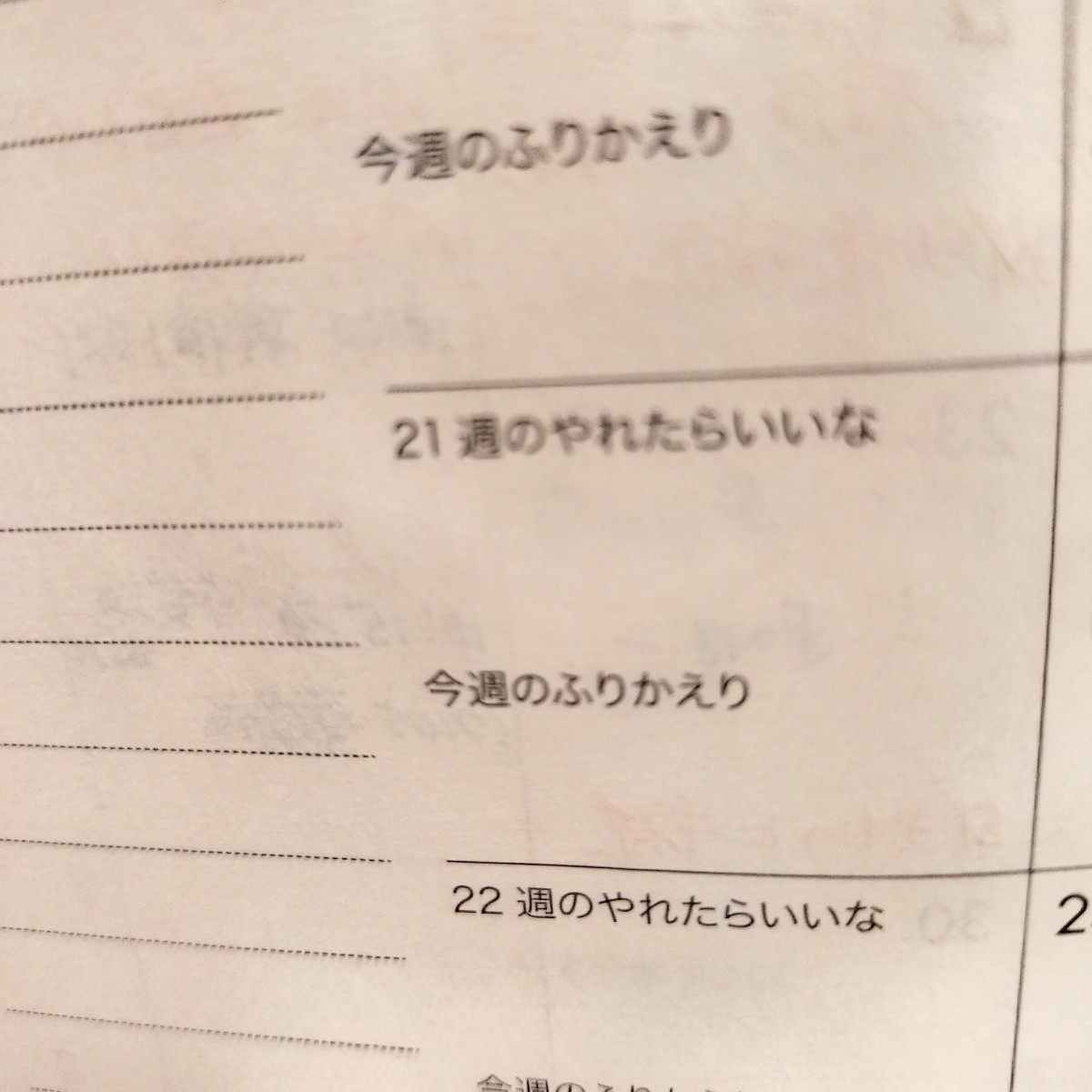 210523 第22週の手帳タイムを取ろう❗_f0164842_14475228.jpg