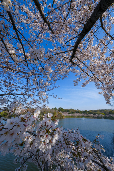 日本風景写真協会（JNP）presents「ニッポン津々浦々、撮影地案内！」（大阪編）2/3回_c0142549_22531024.jpg