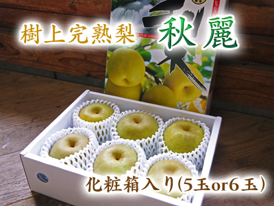 熊本梨 本藤果樹園 摘果作業の様子(2021) 今年は花の開花も早かったので摘果作業も急ピッチです(後編) _a0254656_16472629.jpg