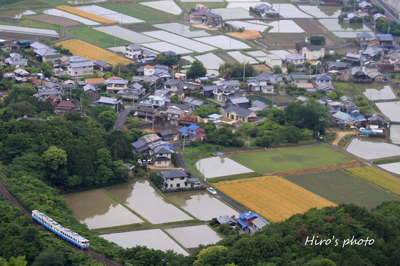 田園トレイン_c0352459_11513037.jpg