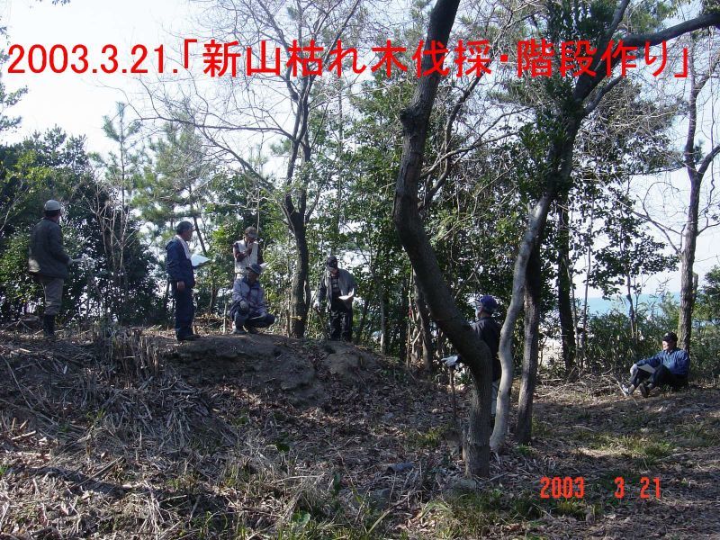 新山（ぼうけん山）枯れ木伐採・・・定例活動日_c0108460_12042270.jpg