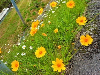 こんなに華やかなのに…_e0175370_21045992.jpg