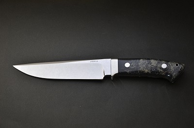 Wild Hunter_e0327983_11215766.jpg