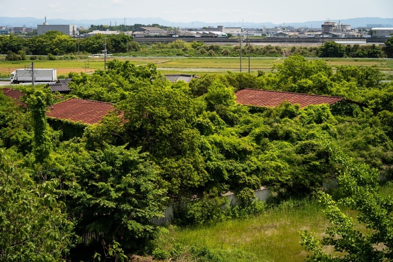 静かに朽ち逝く繊維工場_d0353489_21001410.jpg