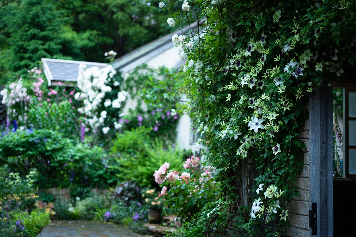 雨に濡れる英国庭園_d0353489_22415760.jpg