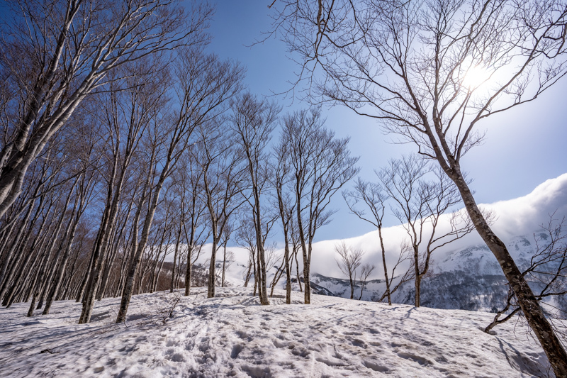 ピーク踏まず　残雪の巻機山_b0244811_18325913.jpg