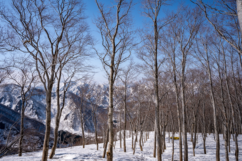 ピーク踏まず　残雪の巻機山_b0244811_18333928.jpg