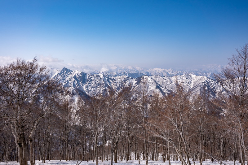 ピーク踏まず　残雪の巻機山_b0244811_18385002.jpg