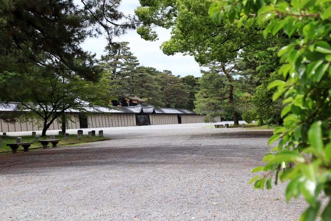 京都御苑　みどリが盛り2_e0048413_17254478.jpg