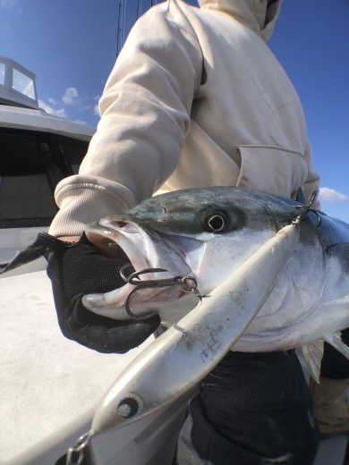 ★2021年 春マサ写真★_f0340322_05411978.jpeg