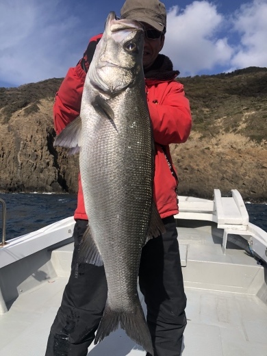 ★2021年 春マサ写真★_f0340322_05451130.jpeg