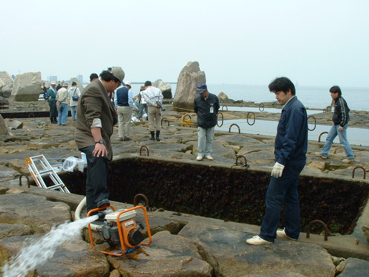 イベント「磯魚（ウオッ）チング」・・・せんなん里海公園_c0108460_13395519.jpg