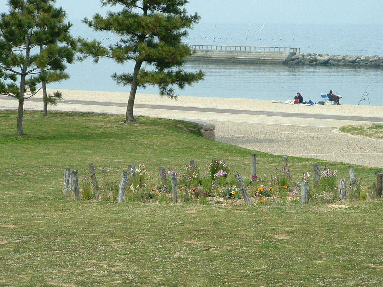 イベント「磯魚（ウオッ）チング」・・・せんなん里海公園_c0108460_13434295.jpg
