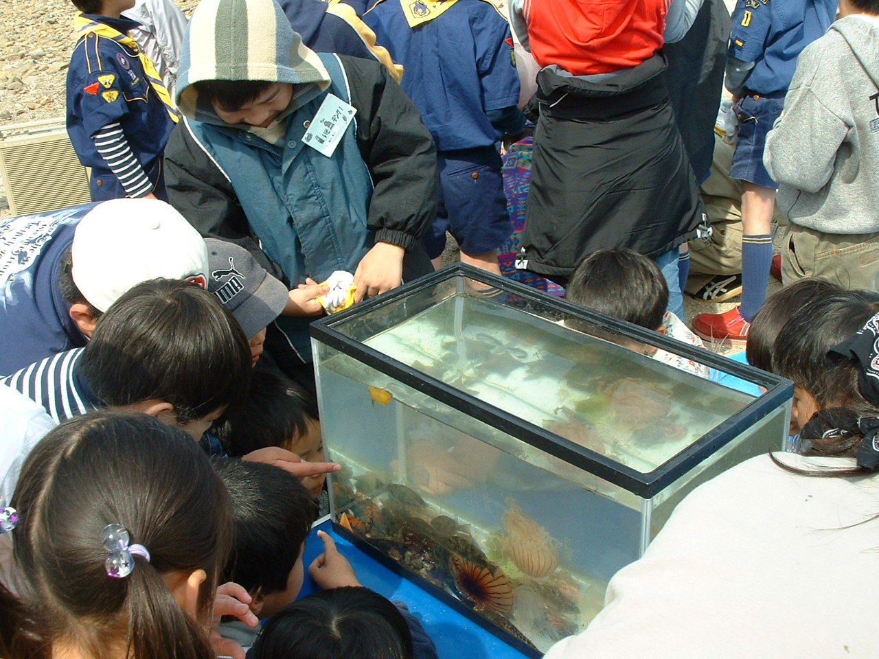 イベント「磯魚（ウオッ）チング」・・・せんなん里海公園_c0108460_13443314.jpg