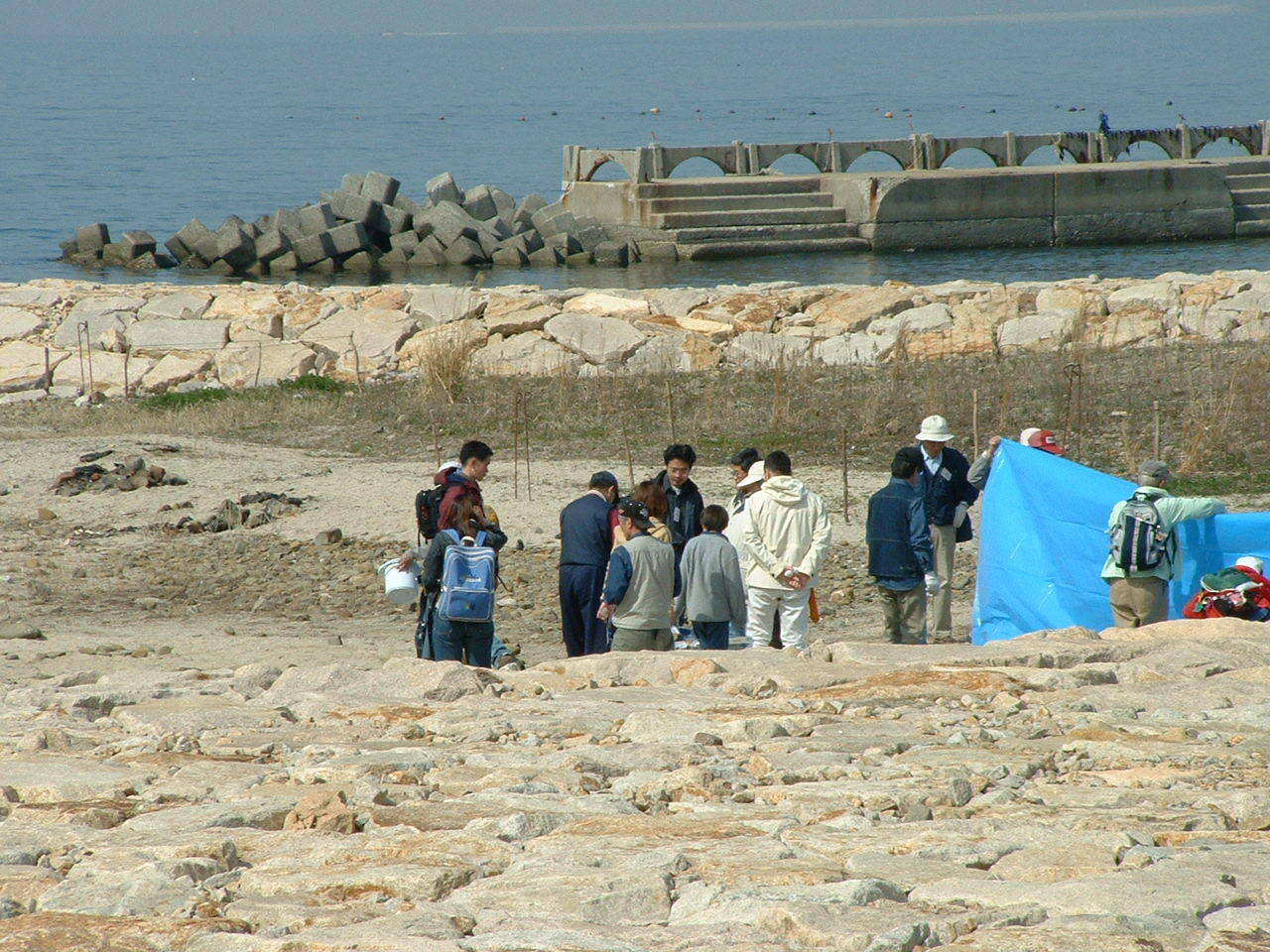 イベント「磯魚（ウオッ）チング」・・・せんなん里海公園_c0108460_13453568.jpg