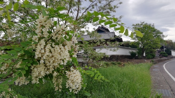 雨の合間 竹編み_c0212083_19132503.jpg