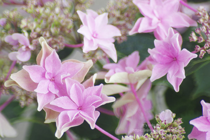 雨のち星 It S Only Photo 2