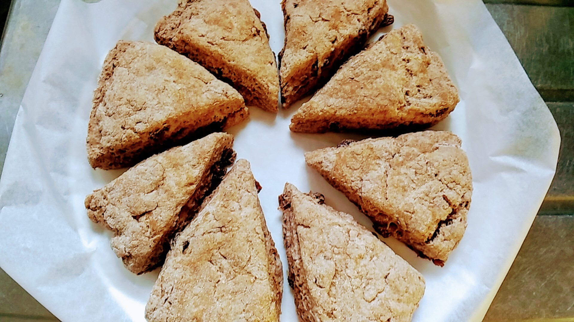 ココア レーズンスコーン 美味しいおやつ トンボtimes