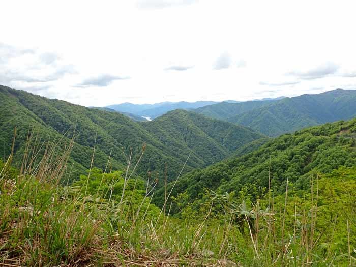 MT-01OS 46 奥美濃越前 峠巡り 2/2 冠山峠・温見峠・油坂峠_a0339187_23185875.jpg