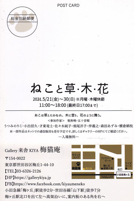 Stray Cat S Diary Stray Cat S Diary