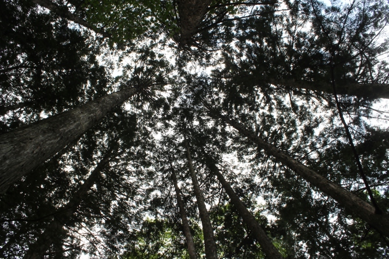 リトリート　GonzoreTRAILにて_b0220318_11255078.jpg