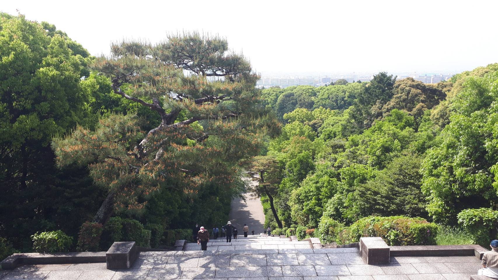 近所deずらし旅 地元 桃山御陵 結構鍛えられる 230段 京都グルメタクシー おいしい京都