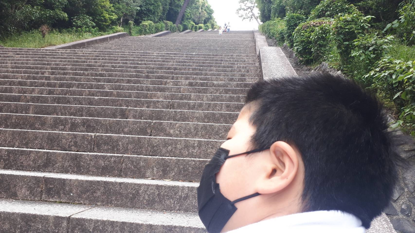 近所deずらし旅 地元 桃山御陵 結構鍛えられる 230段 京都グルメタクシー おいしい京都