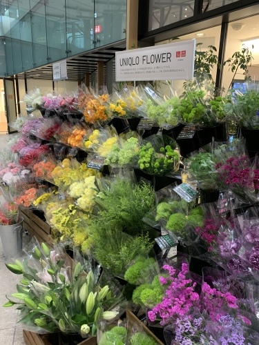 ユニクロは 何故お花を売るのか Day By Day ユニクロは 何故お花を売るのか Day By Day