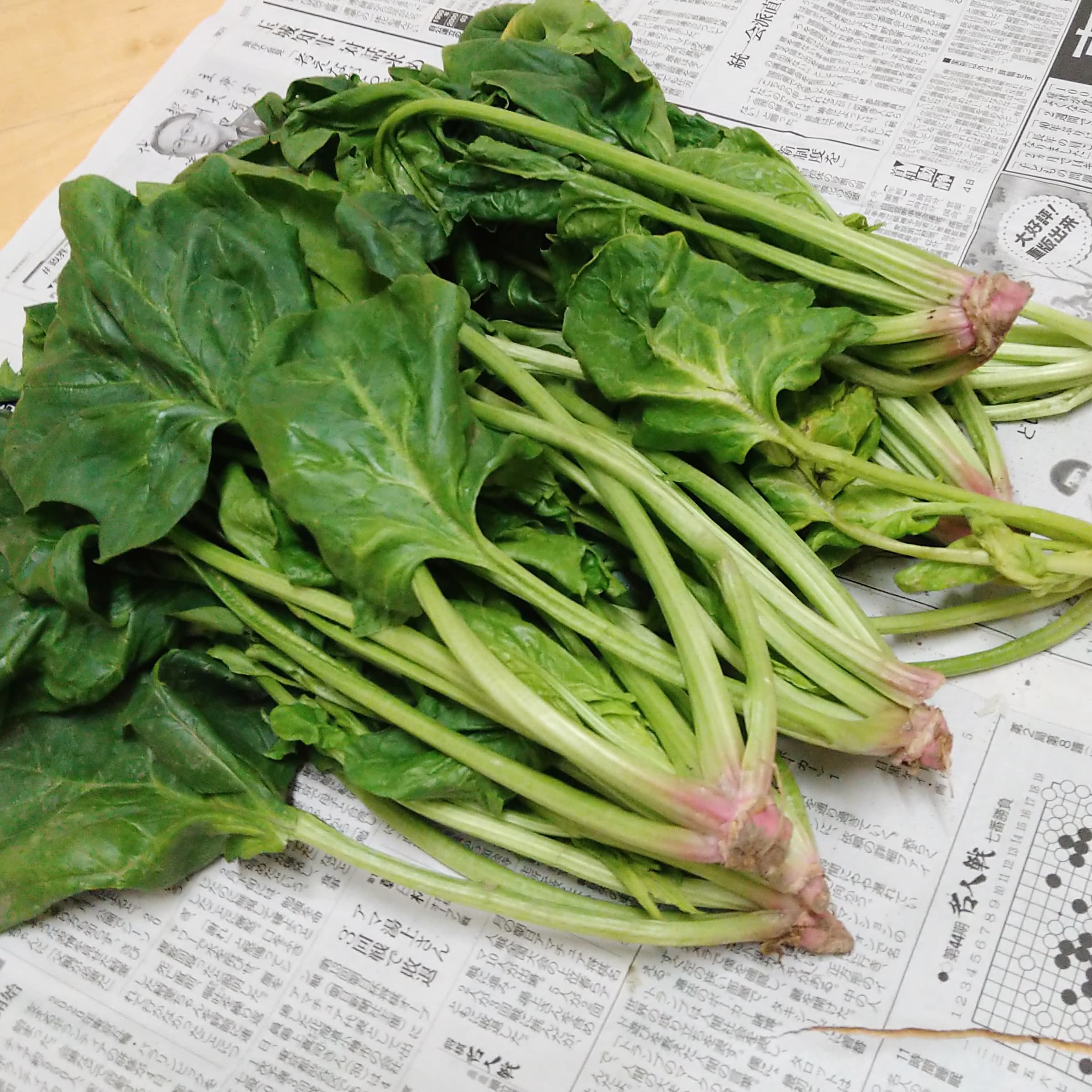 ++3週連続のお野菜便*&つぶやき*++_e0354456_09080070.jpg