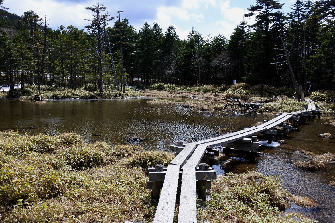 長野そぞろ歩き：麦草峠_f0049074_05151563.jpg