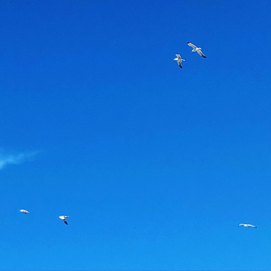 空も、海も、そろそろ夏色に_e0335287_01022740.jpg