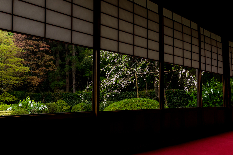 春の花咲く雲龍院_f0155048_21405714.jpg