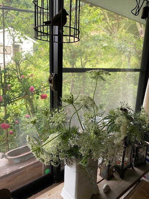 白い庭・・・_b0396150_09092022.jpg
