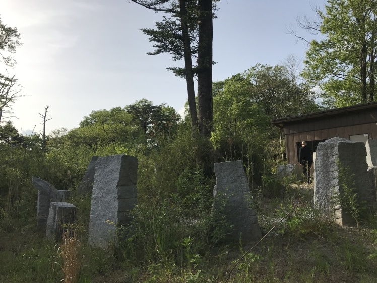 ソマチッドと古代文字_b0034072_17492289.jpg