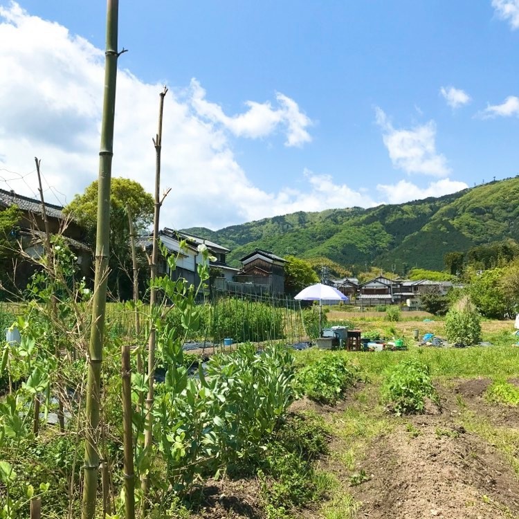 早くも梅雨入り!_f0169675_12112388.jpg