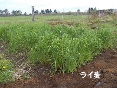 ある友人の体験 (5/20)_d0017084_21212570.jpg