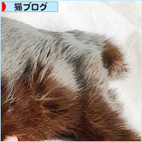 イレーネの病院_a0389088_02055418.jpg
