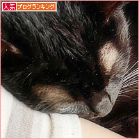 イレーネの病院_a0389088_02055453.jpg
