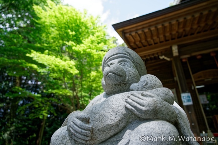 日吉神社-石像_e0135098_06431754.jpg