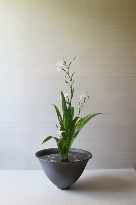 レモンの花 / 著莪、杜若_a0214206_21473042.jpg