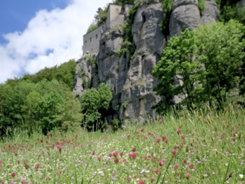 野の花彩る初夏の聖地、ラヴェルナ修道院_f0234936_23252628.jpg