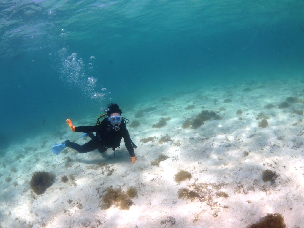 美しい海で体験ダイビング~♪_a0189838_09284684.jpg