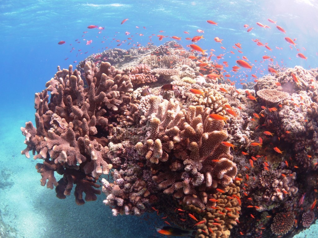 最高でしょ。_a0189838_18010077.jpg